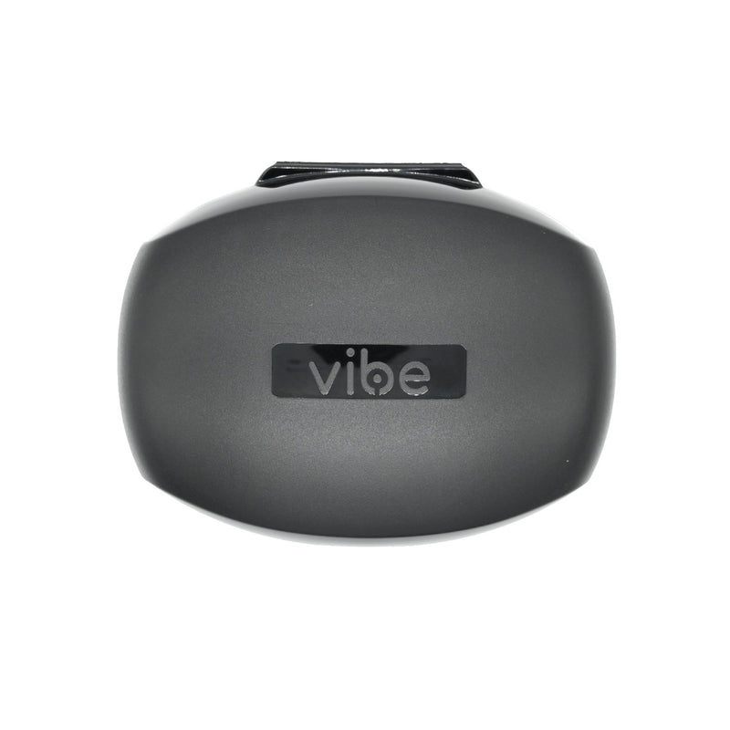 Vibe 補聴器 保管用 ケース